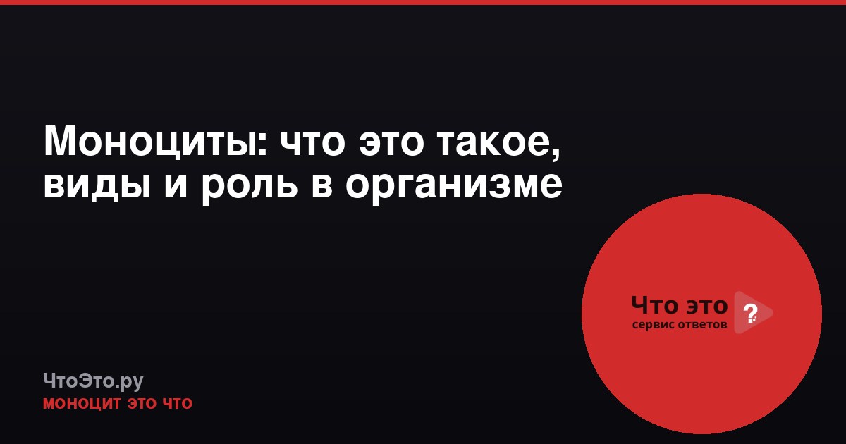 Моноциты: что это такое, виды и роль в организме
