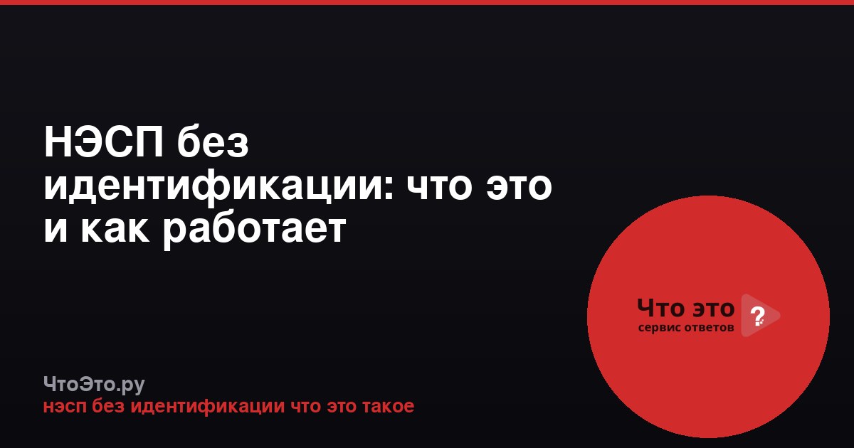 НЭСП без идентификации: что это и как работает
