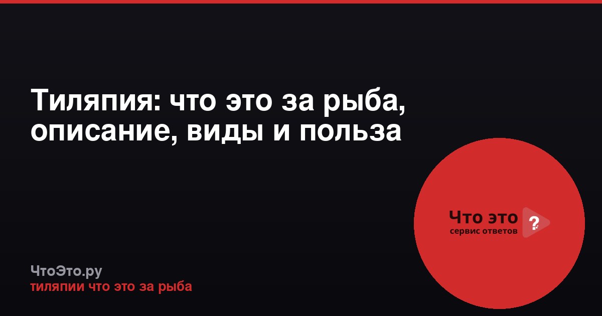 Тиляпия: что это за рыба, описание, виды и польза