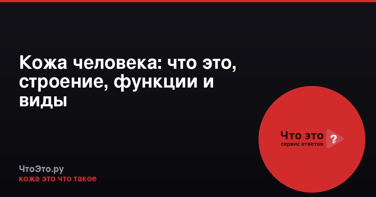 Кожа человека: что это, строение, функции и виды
