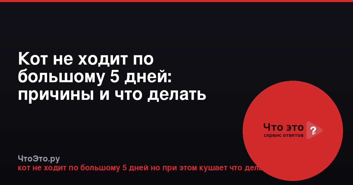 Кот не ходит по большому 5 дней: причины и что делать