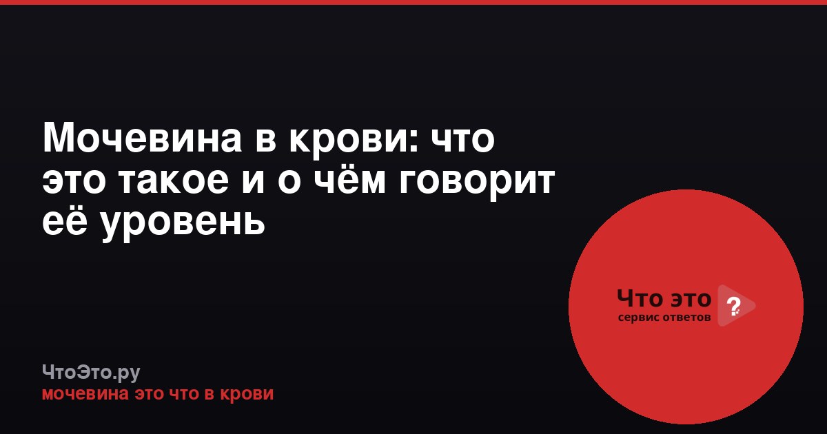 Мочевина в крови: что это такое и о чём говорит её уровень