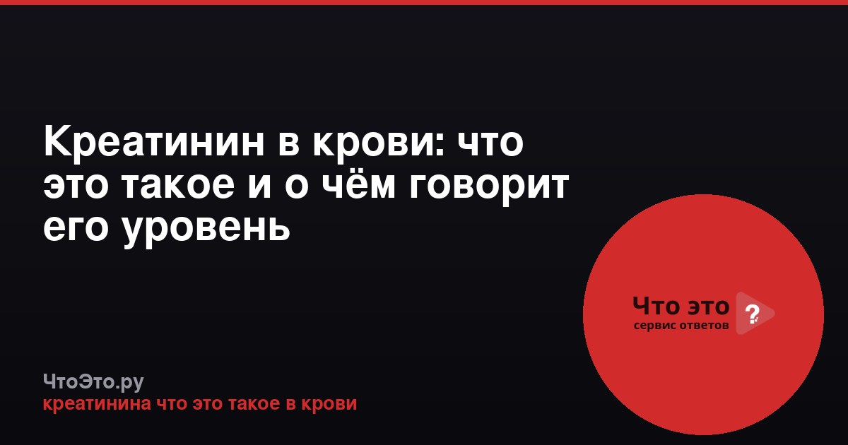 Креатинин в крови: что это такое и о чём говорит его уровень