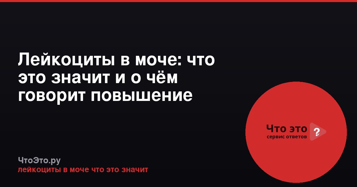 Лейкоциты в моче: что это значит и о чём говорит повышение
