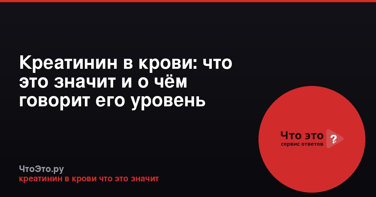Креатинин в крови: что это значит и о чём говорит его уровень