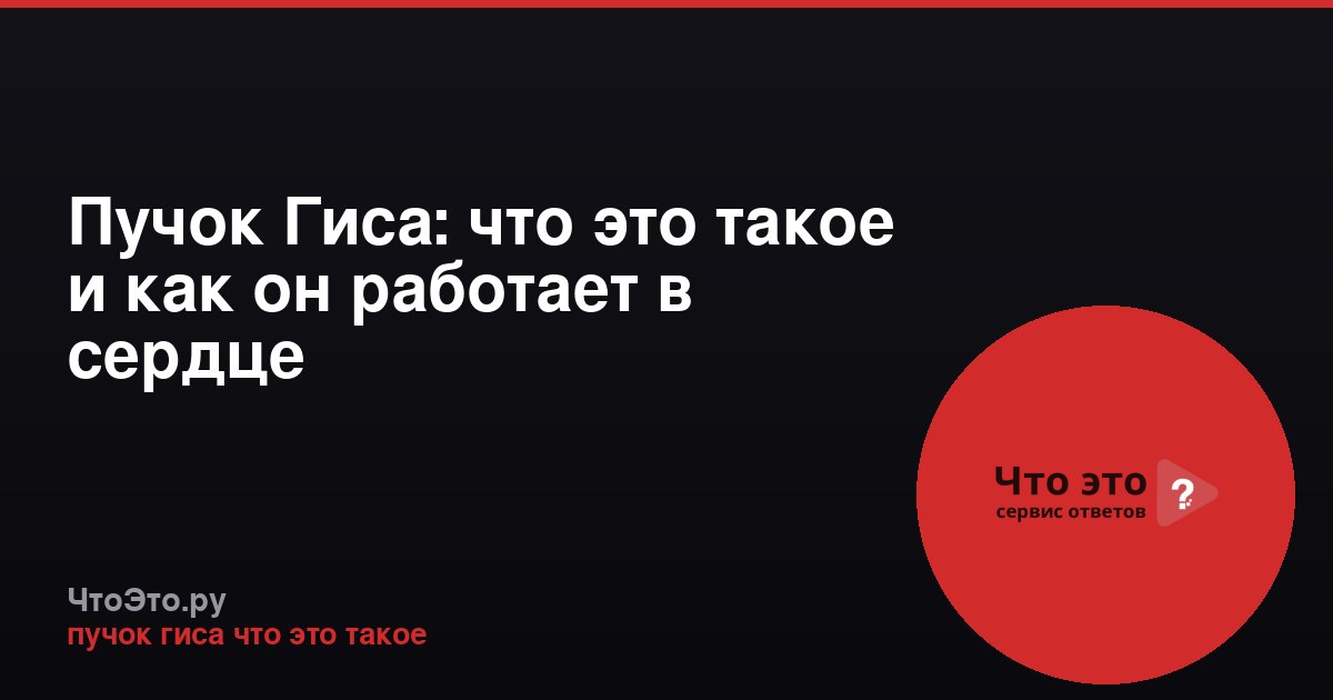 Пучок Гиса: что это такое и как он работает в сердце