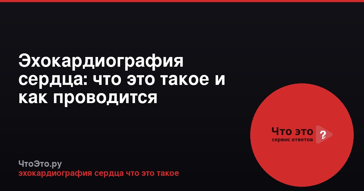 Эхокардиография сердца: что это такое и как проводится