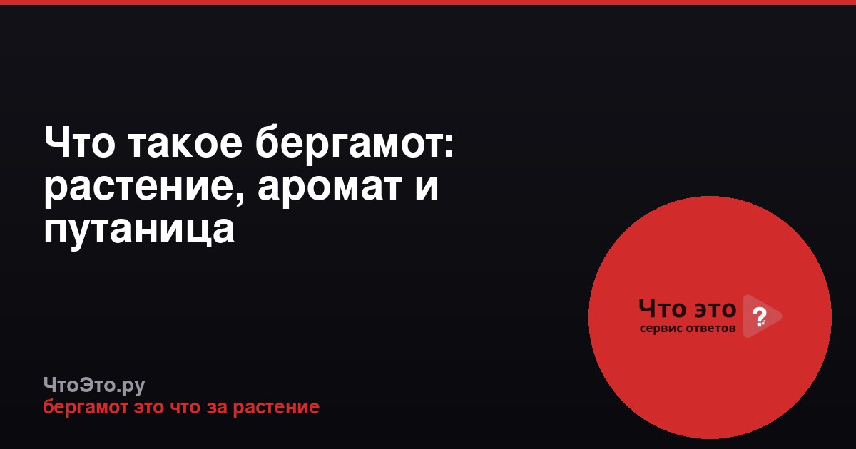 Что такое бергамот: растение, аромат и путаница