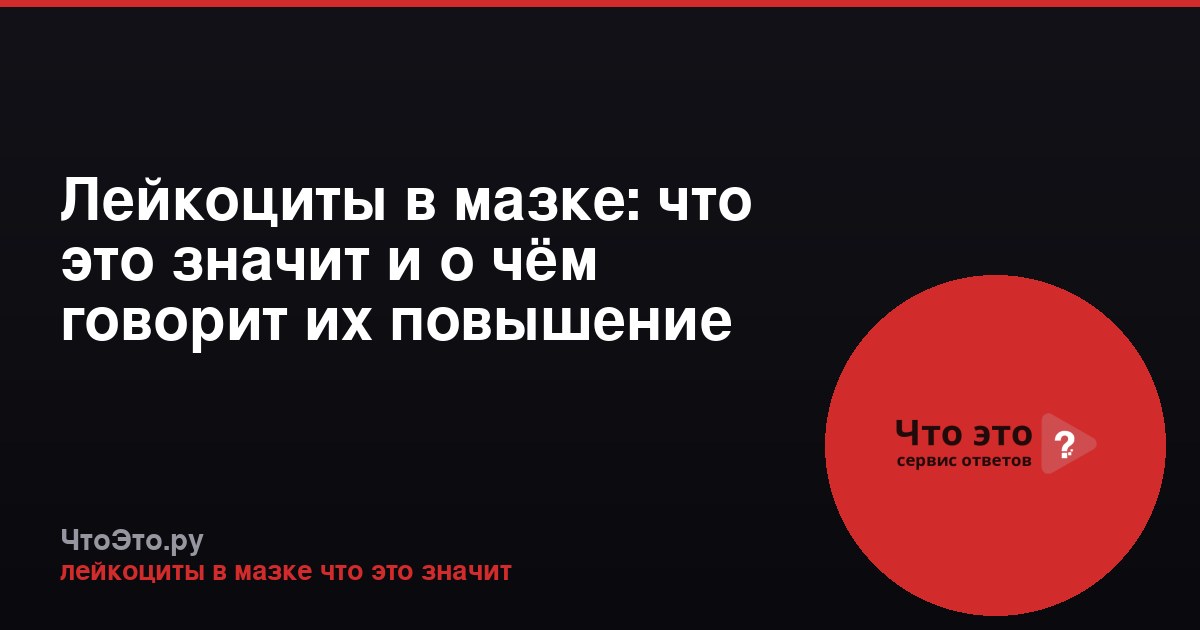 Лейкоциты в мазке: что это значит и о чём говорит их повышение