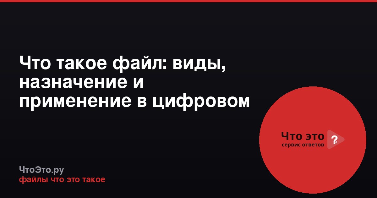 Что такое файл: виды, назначение и применение в цифровом мире
