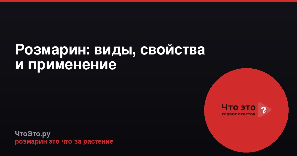 Розмарин: виды, свойства и применение