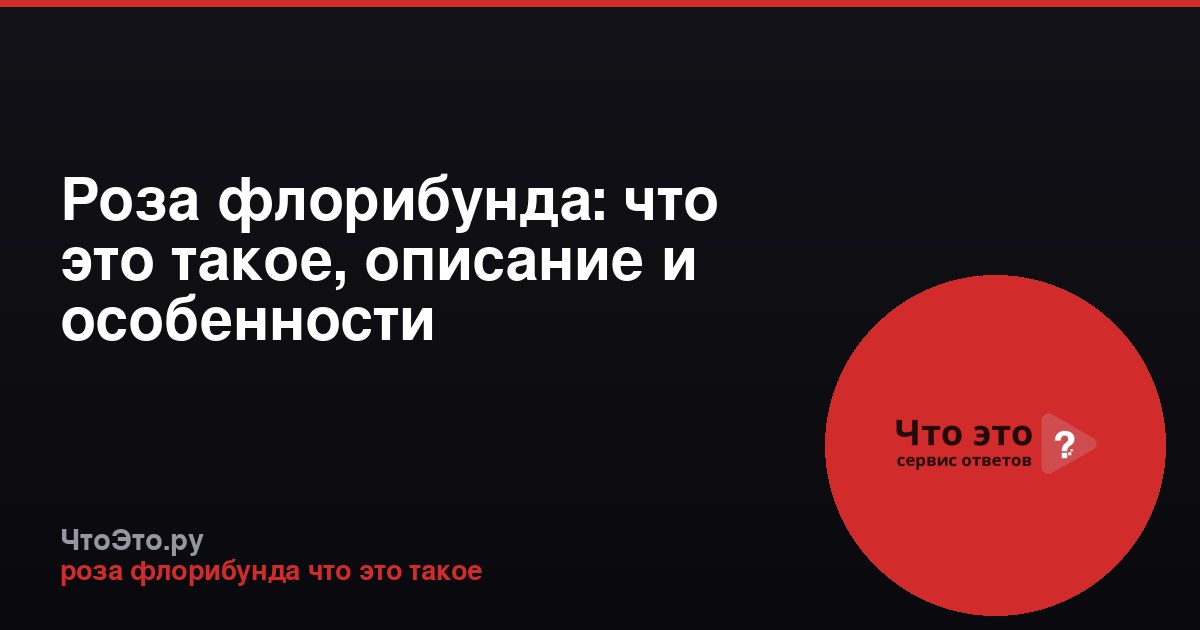 Роза флорибунда: что это такое, описание и особенности