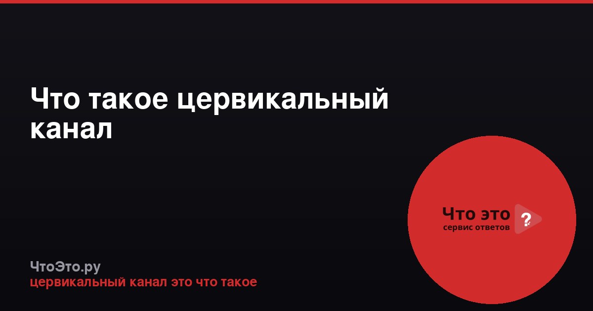 Что такое цервикальный канал