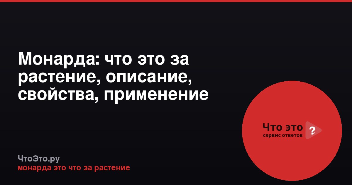 Монарда: что это за растение, описание, свойства, применение