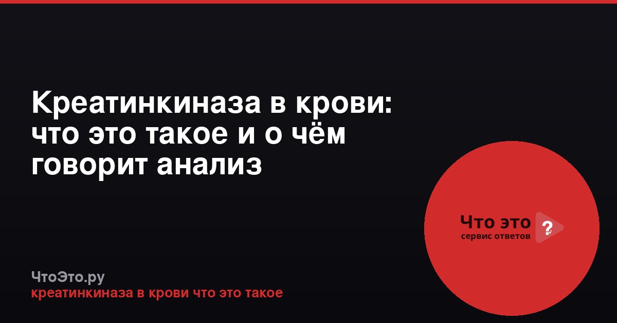 Креатинкиназа в крови: что это такое и о чём говорит анализ