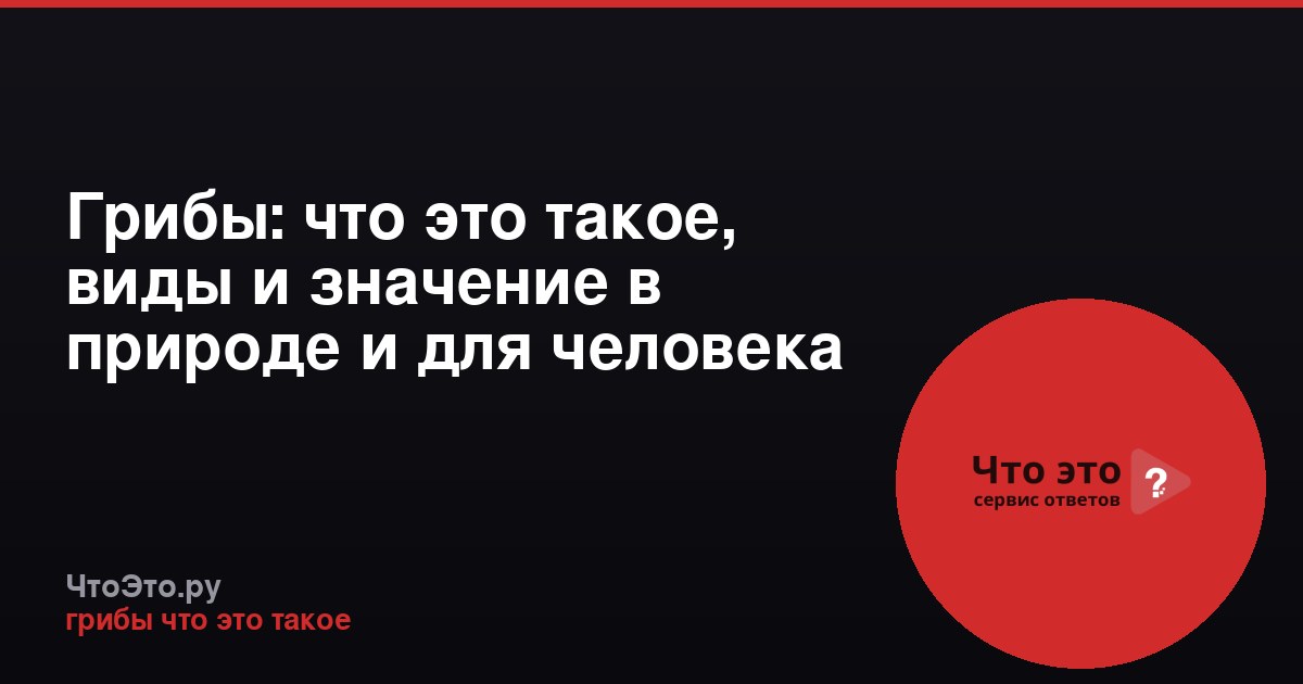 Грибы: что это такое, виды и значение в природе и для человека