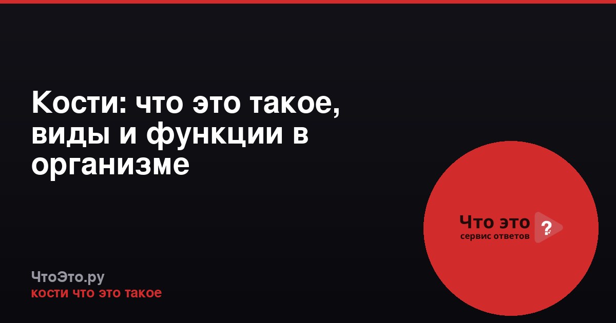 Кости: что это такое, виды и функции в организме