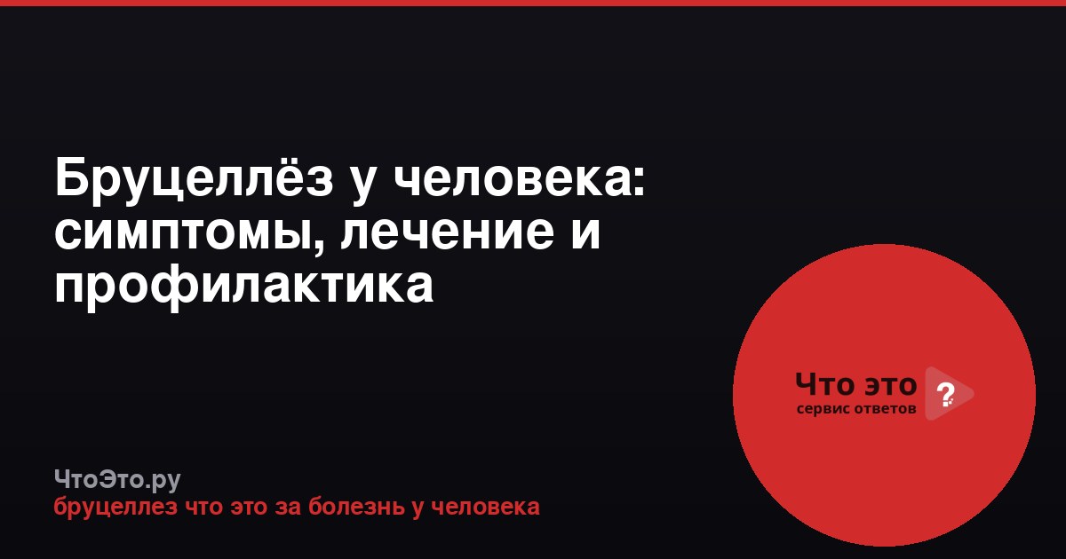 Бруцеллёз у человека: симптомы, лечение и профилактика