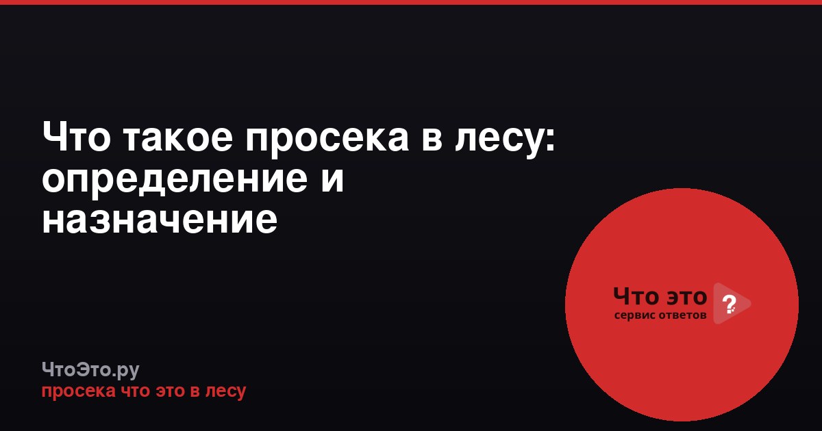 Что такое просека в лесу: определение и назначение