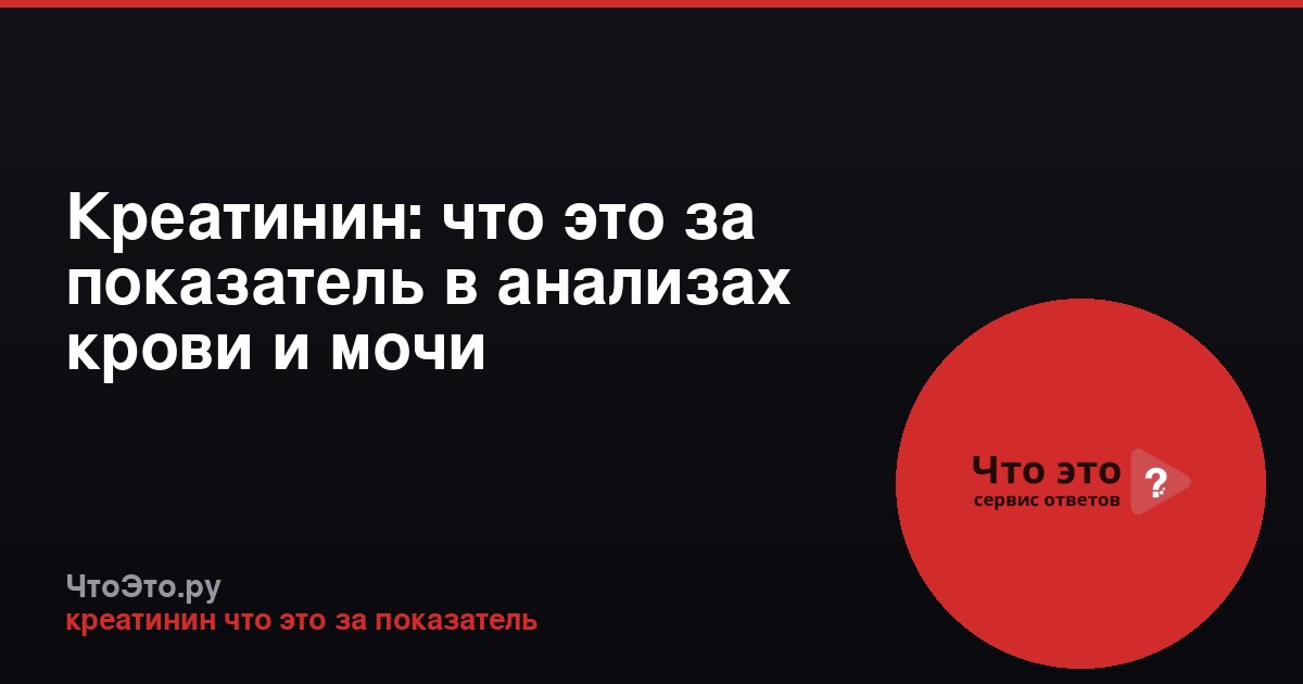 Креатинин: что это за показатель в анализах крови и мочи