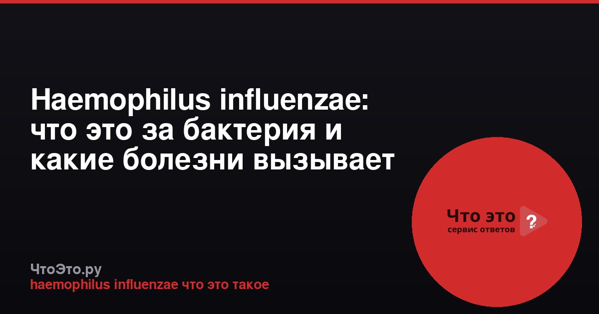 Haemophilus influenzae: что это за бактерия и какие болезни вызывает