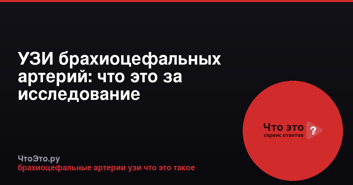 УЗИ брахиоцефальных артерий: что это за исследование