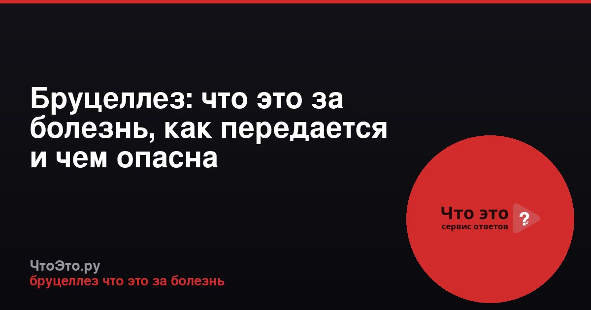 Бруцеллез: что это за болезнь, как передается и чем опасна