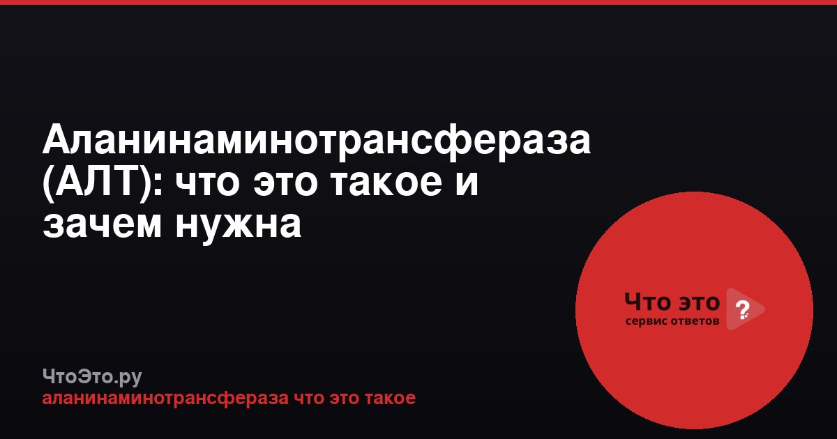 Аланинаминотрансфераза (АЛТ): что это такое и зачем нужна
