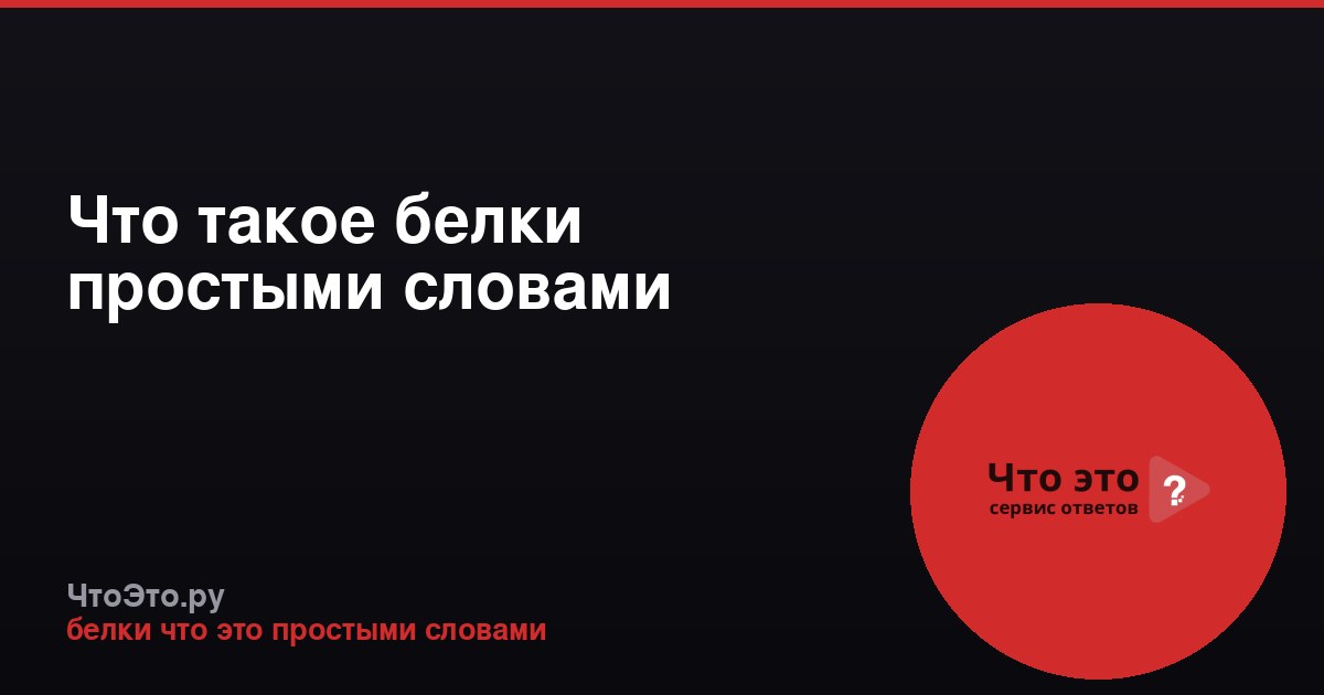 Что такое белки простыми словами