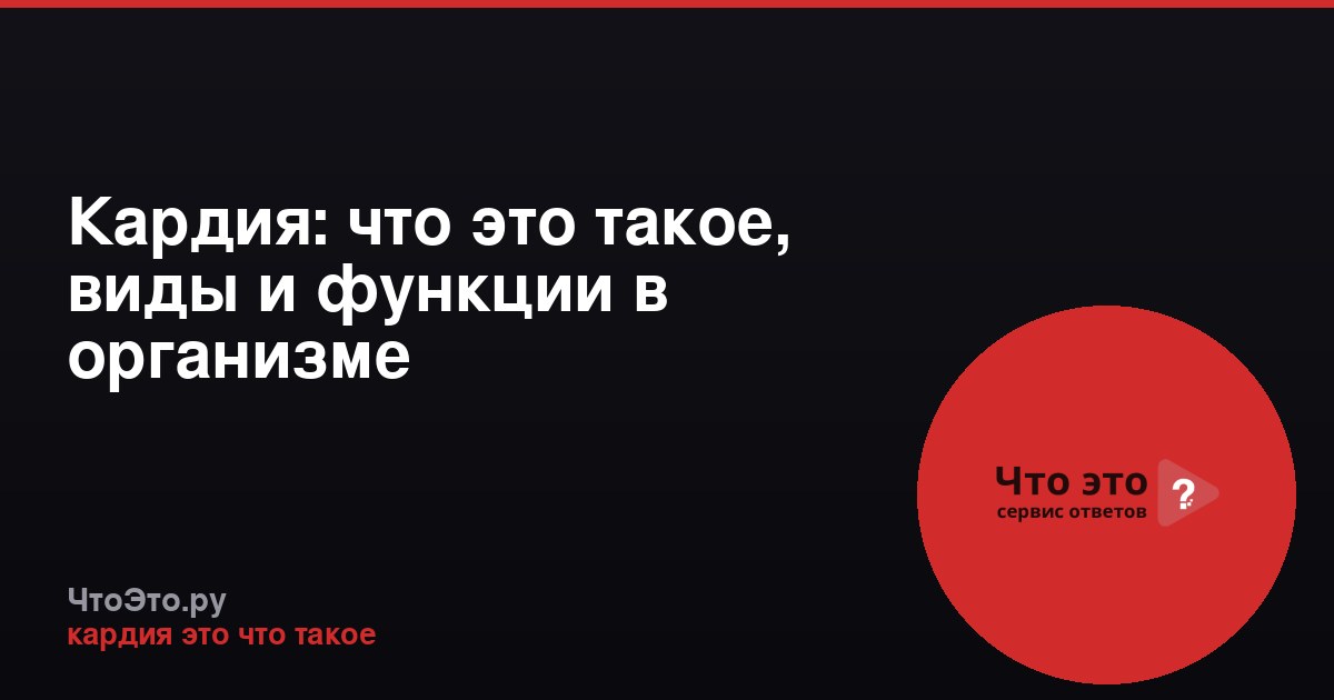 Кардия: что это такое, виды и функции в организме