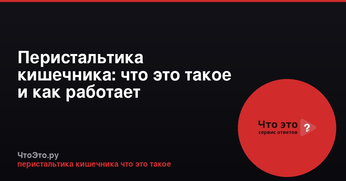 Перистальтика кишечника: что это такое и как работает