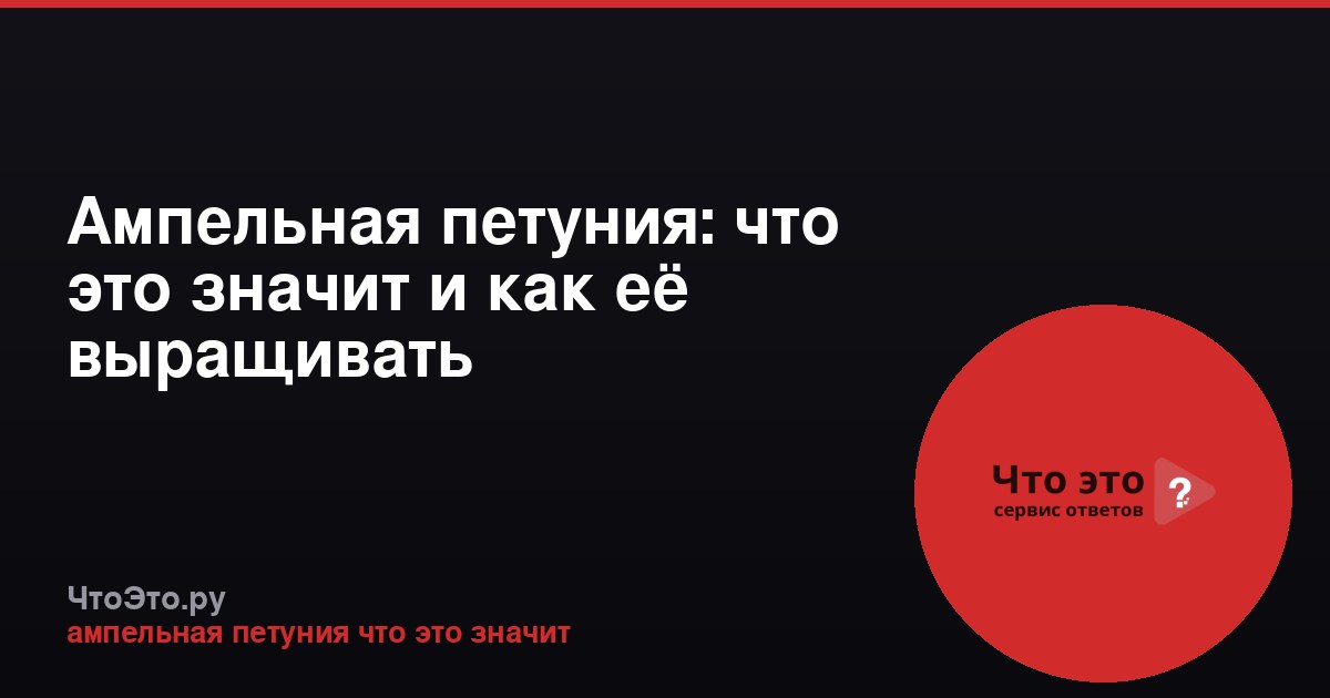 Ампельная петуния: что это значит и как её выращивать