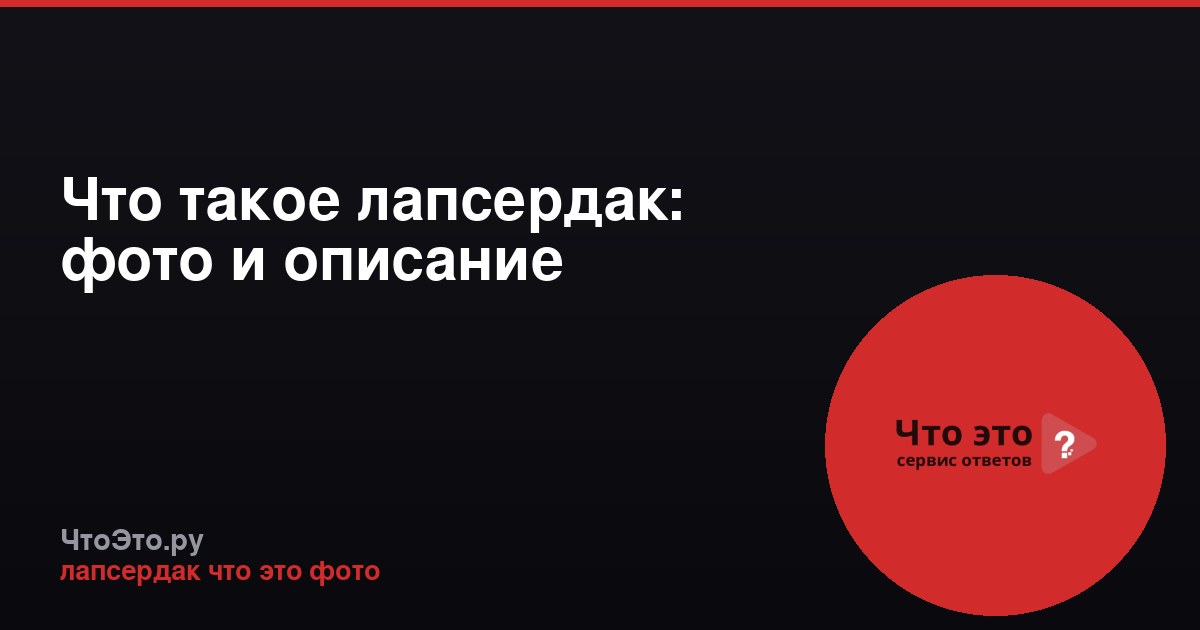 Что такое лапсердак: фото и описание