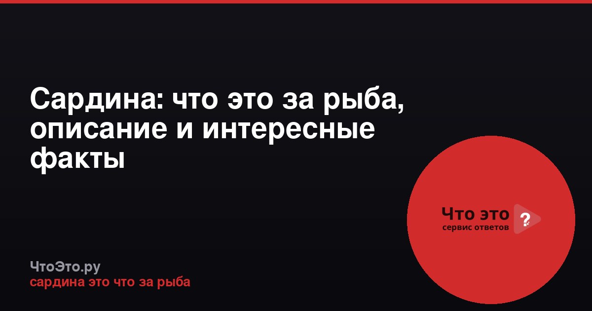 Сардина: что это за рыба, описание и интересные факты