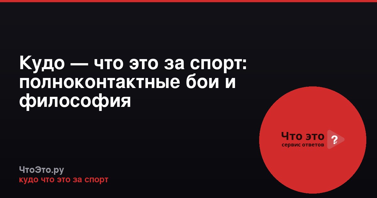 Кудо — что это за спорт: полноконтактные бои и философия