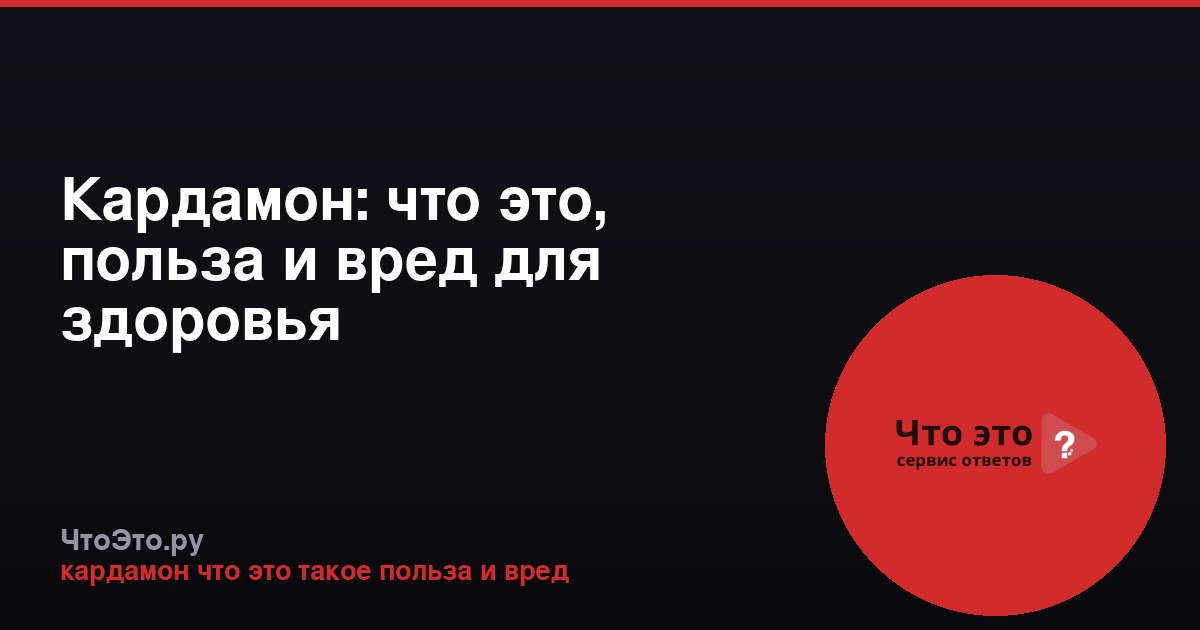 Кардамон: что это, польза и вред для здоровья