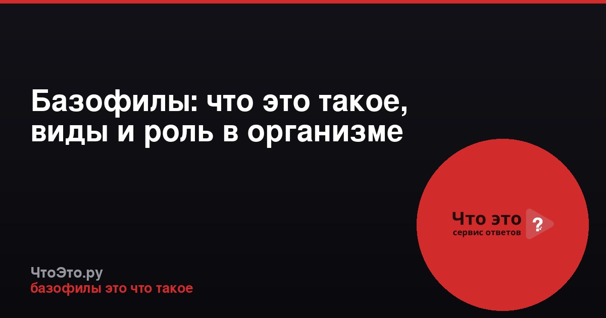 Базофилы: что это такое, виды и роль в организме