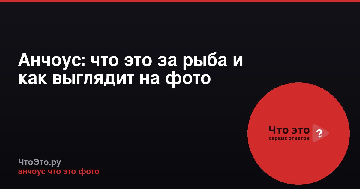 Анчоус: что это за рыба и как выглядит на фото