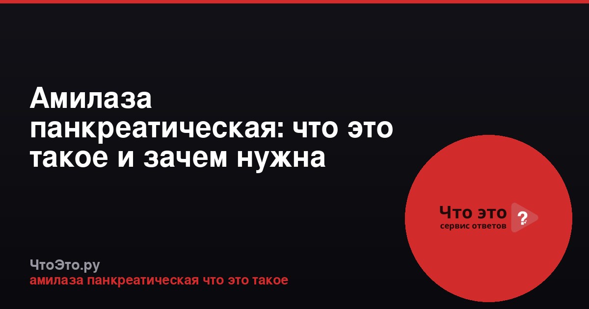 Амилаза панкреатическая: что это такое и зачем нужна