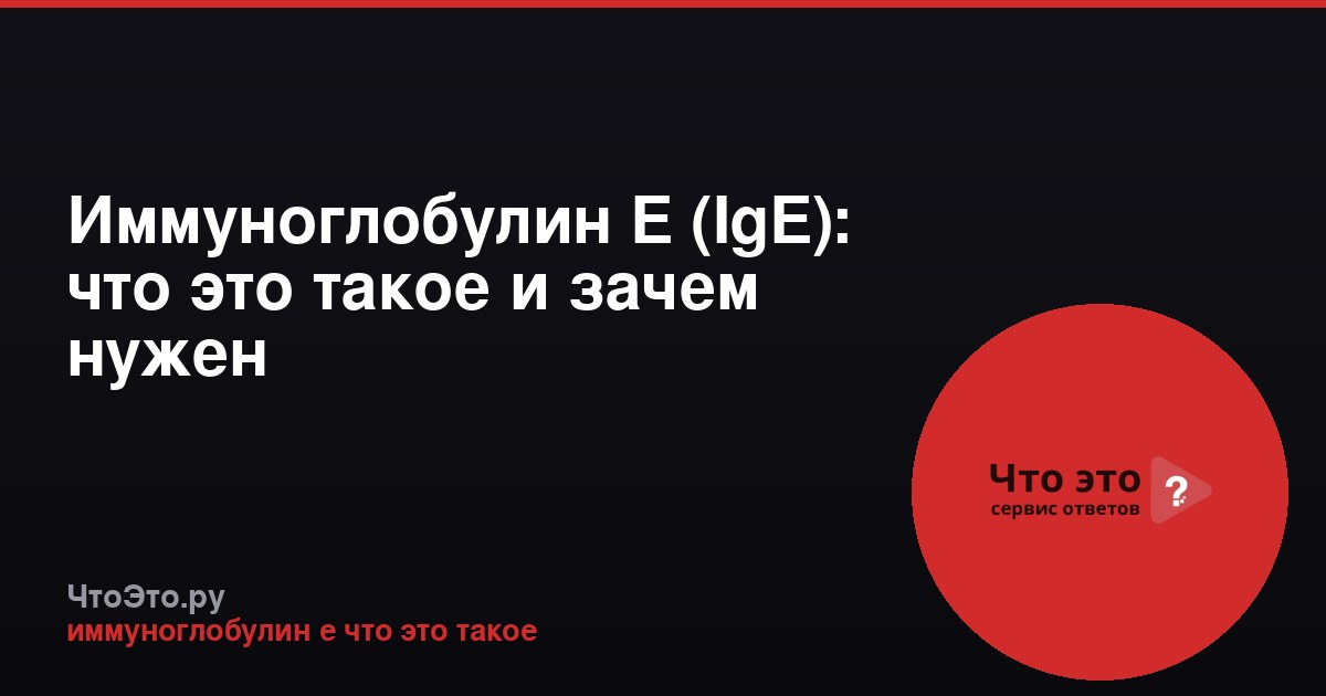 Иммуноглобулин Е (IgE): что это такое и зачем нужен