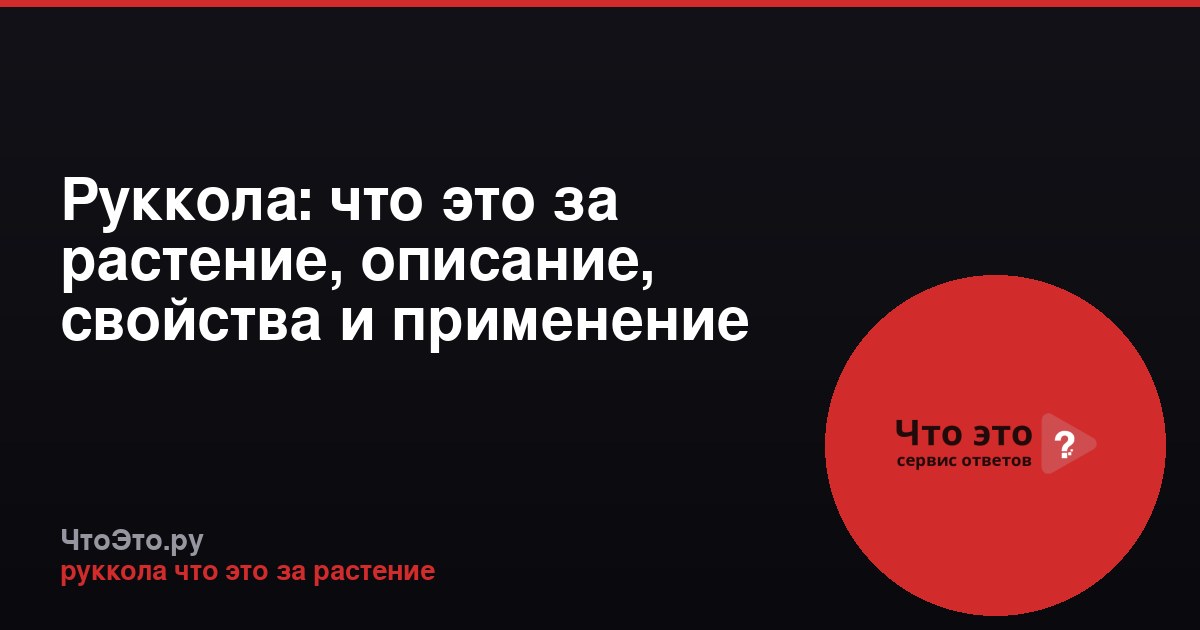 Руккола: что это за растение, описание, свойства и применение