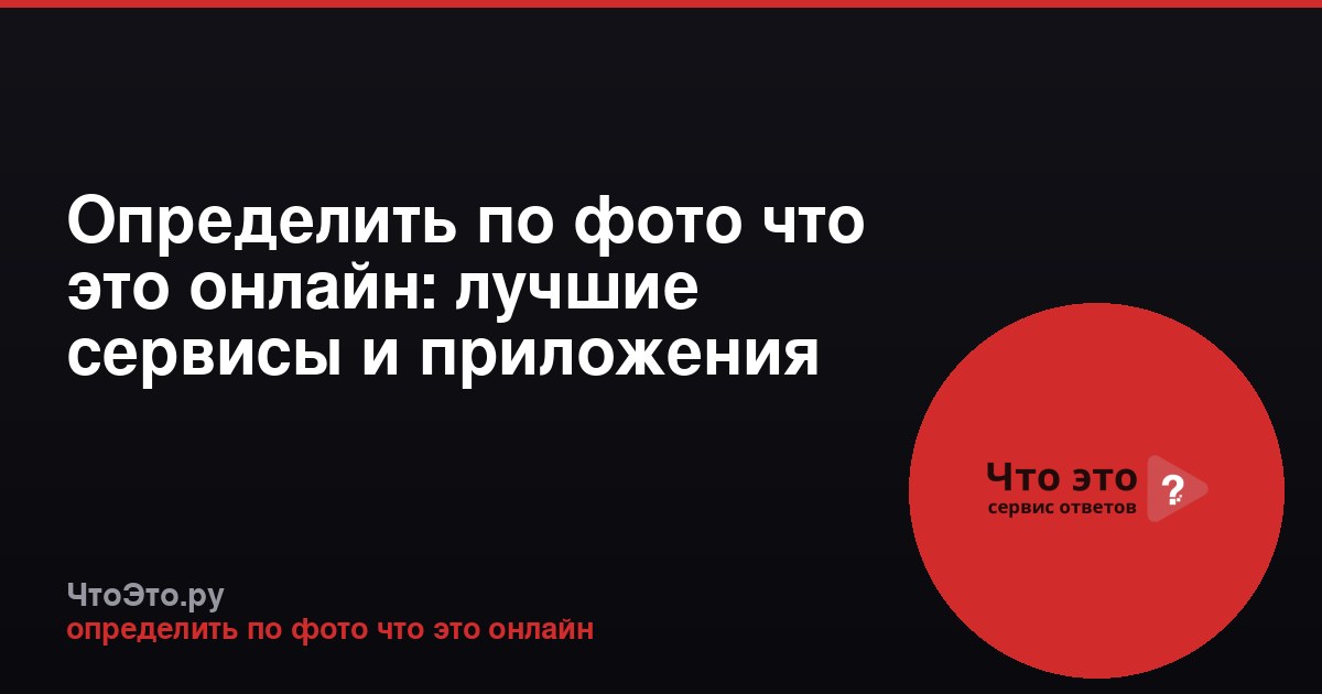 Определить по фото что это онлайн: лучшие сервисы и приложения