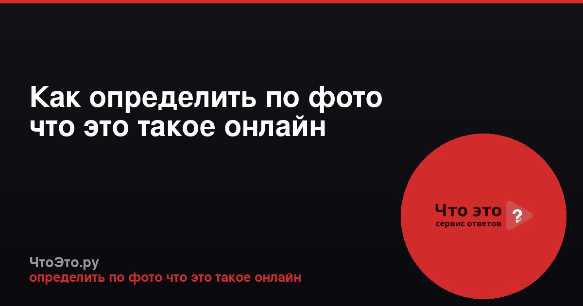 Как определить по фото что это такое онлайн