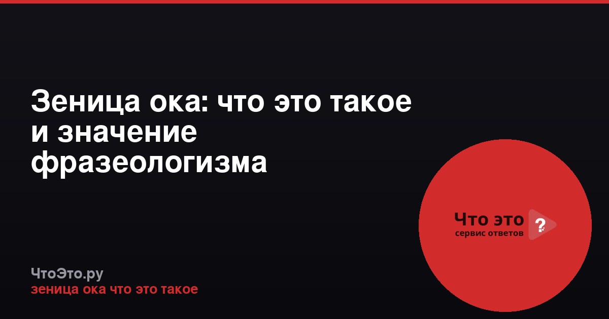 Зеница ока: что это такое и значение фразеологизма