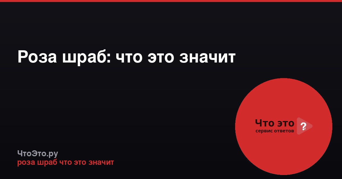 Роза шраб: что это значит