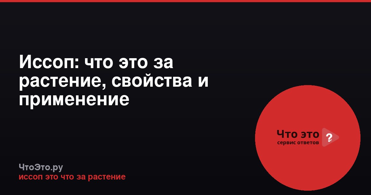 Иссоп: что это за растение, свойства и применение