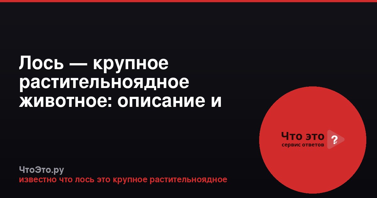 Лось — крупное растительноядное животное: описание и особенности
