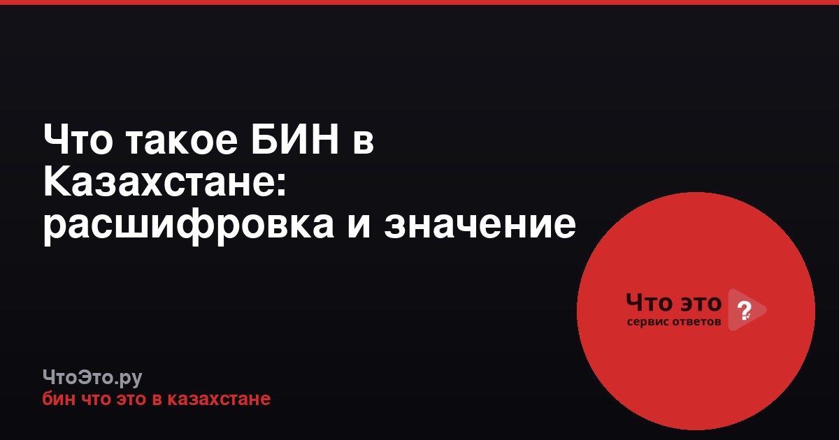 Что такое БИН в Казахстане: расшифровка и значение