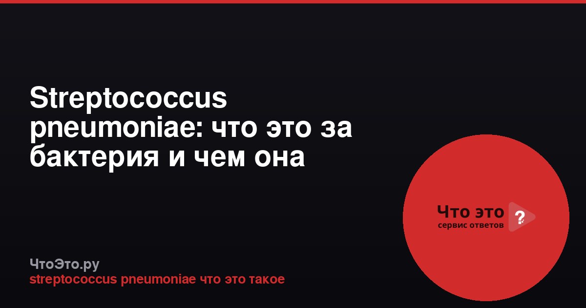 Streptococcus pneumoniae: что это за бактерия и чем она опасна