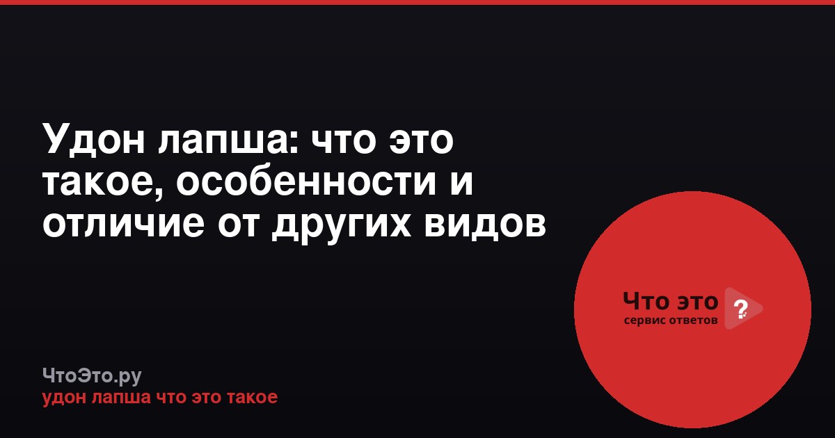 Удон лапша: что это такое, особенности и отличие от других видов